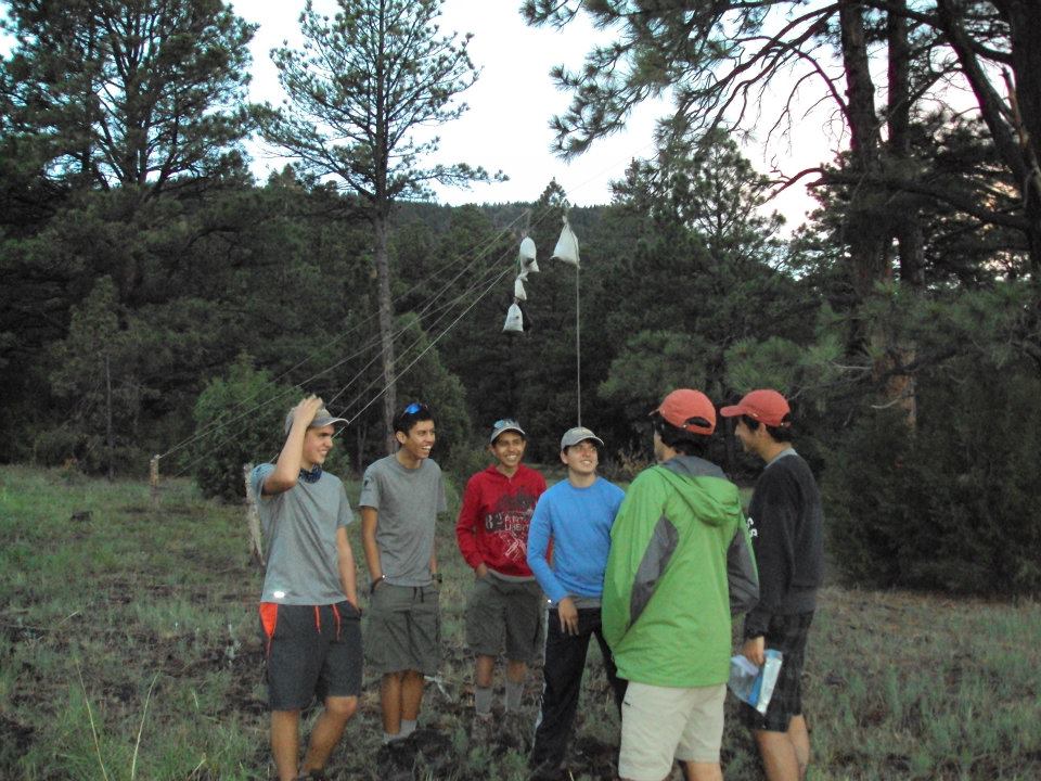 Scouts in the field at twilight